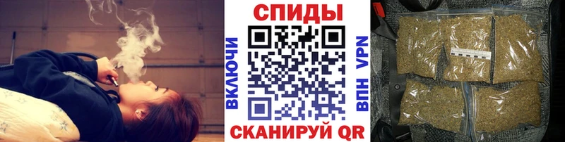 OMG ссылка  Коряжма  Бутират BDO 33% 