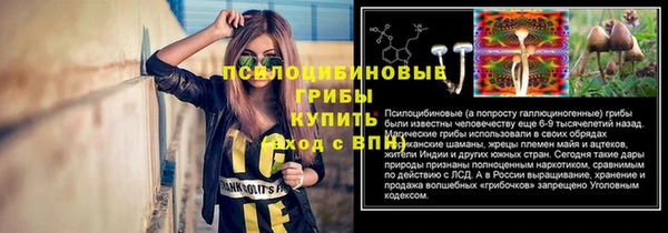apvp Армянск