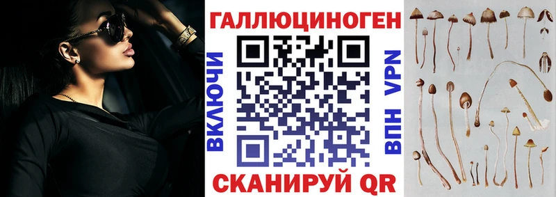 darknet официальный сайт  Коряжма  Галлюциногенные грибы Cubensis 