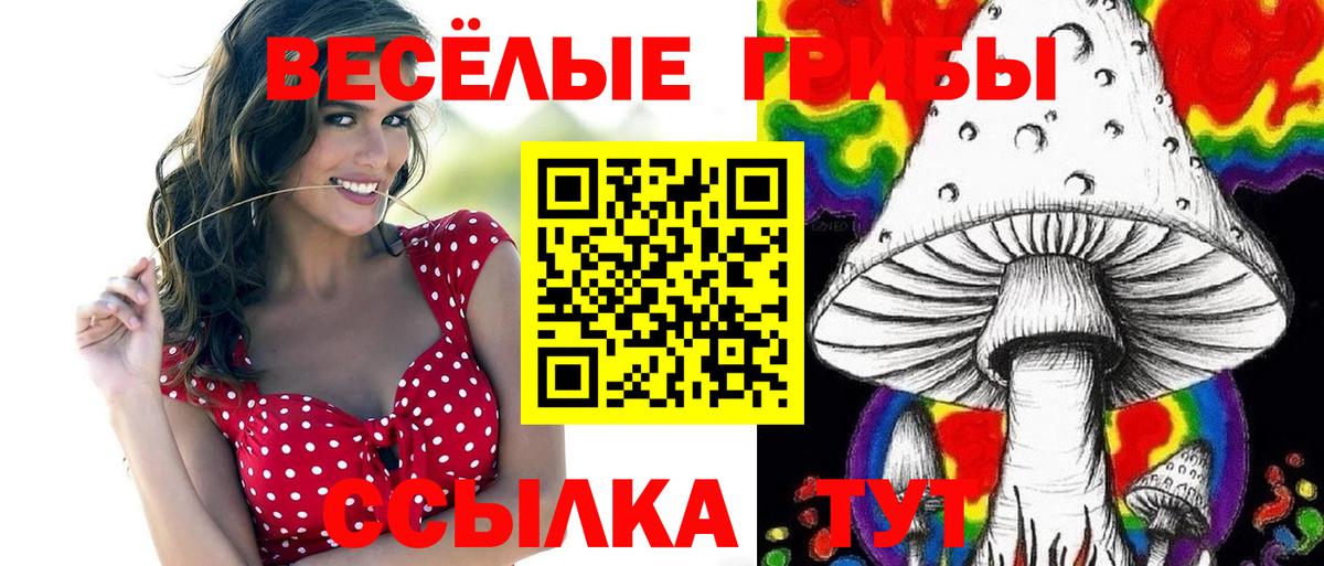Галлюциногенные грибы Cubensis  Псилоцибиновые грибы MAGIC MUSHROOMS  Коряжма  Вход с VPN 