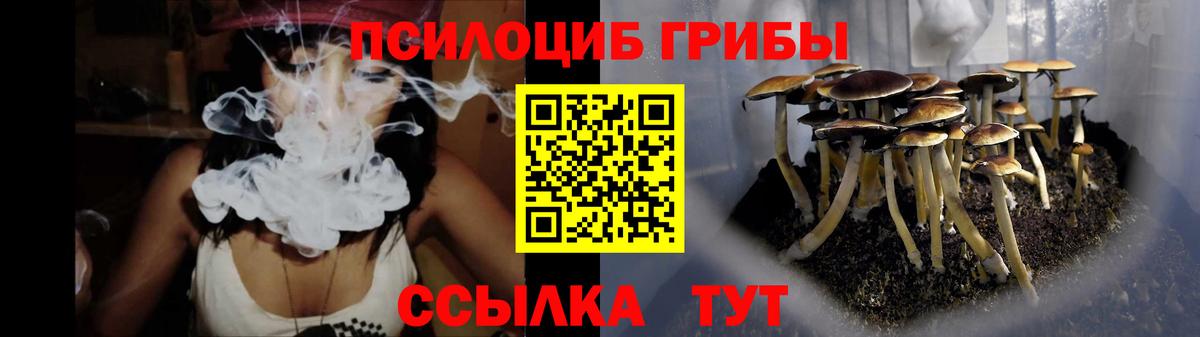 Галлюциногенные грибы Psilocybine cubensis Коряжма